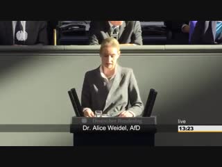 Alice weidels antwort auf merkel