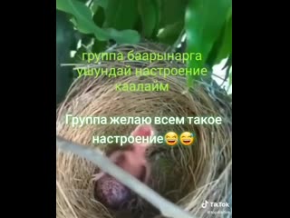 Видео от бекмурата бекбенбетова