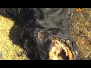 Секретные территории закоулки вселенной (док фильм)