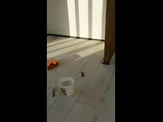 Vid 20201214 154029 mp4