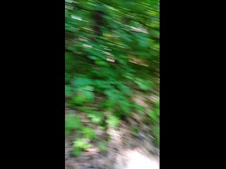 Vid 20190530 105859 mp4