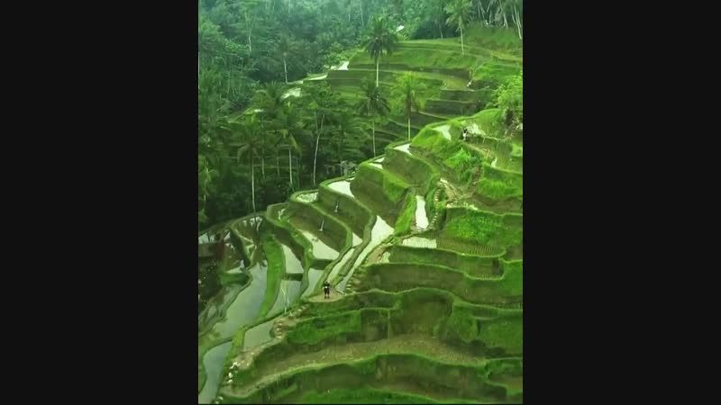 Bali , Indonesia