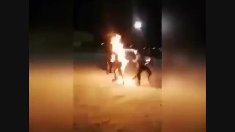 Красноярские молодые дебилы подожгли 'друга' на