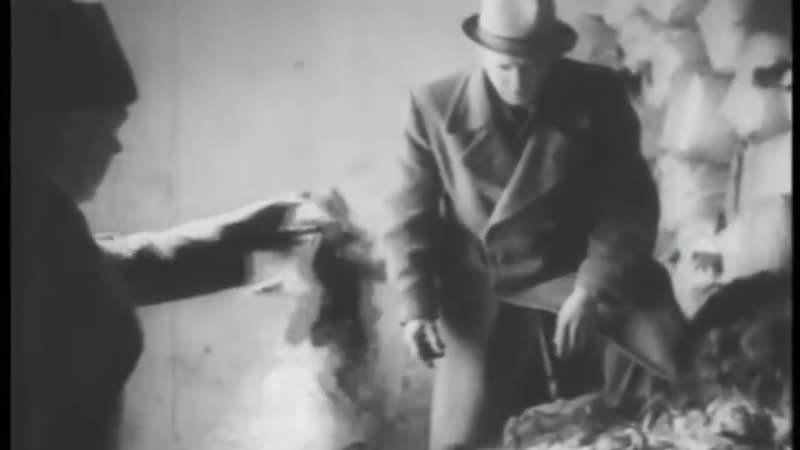 Аушвиц биркенау фабрика по истреблению людей (auschwitz birkenau, освенцим)