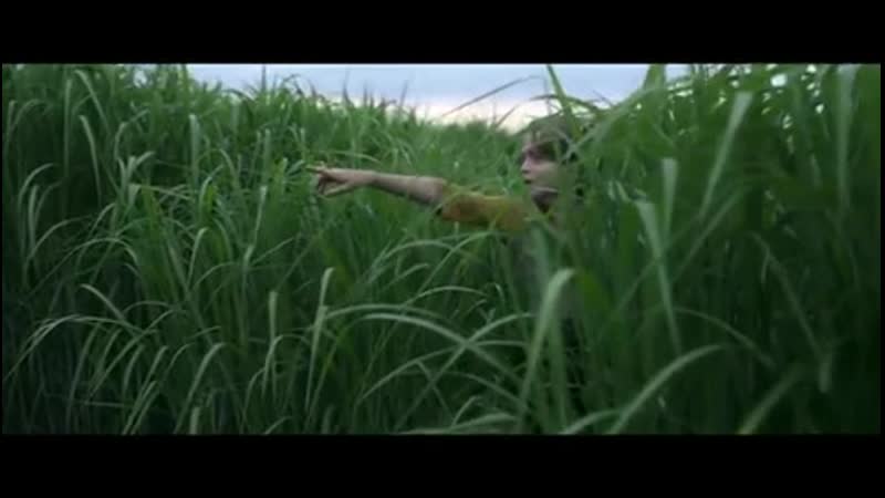 Ужасы † фильмы в высокой траве (2019)
