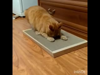 "будто на природе я гулял! "😀