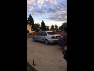 Wheel gets launched by airbags and smashes car window