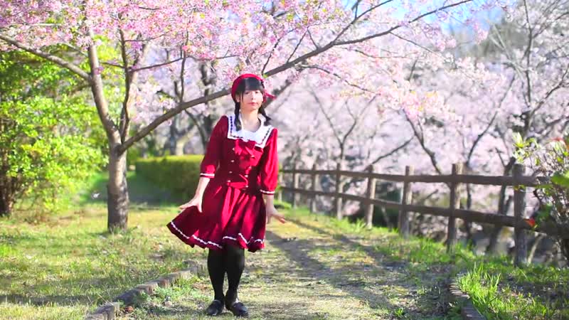 【足太ぺんた】流星ダイアリー（h△g）踊ってみた【オリジナル振付】