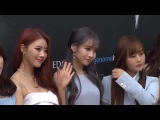 190609 lovelyz on asia model awards red carpet
