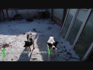 «это просто ходячие скелеты»