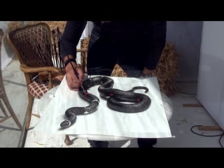 3d drawing of a lifelike snake 3d painting optical illusion!