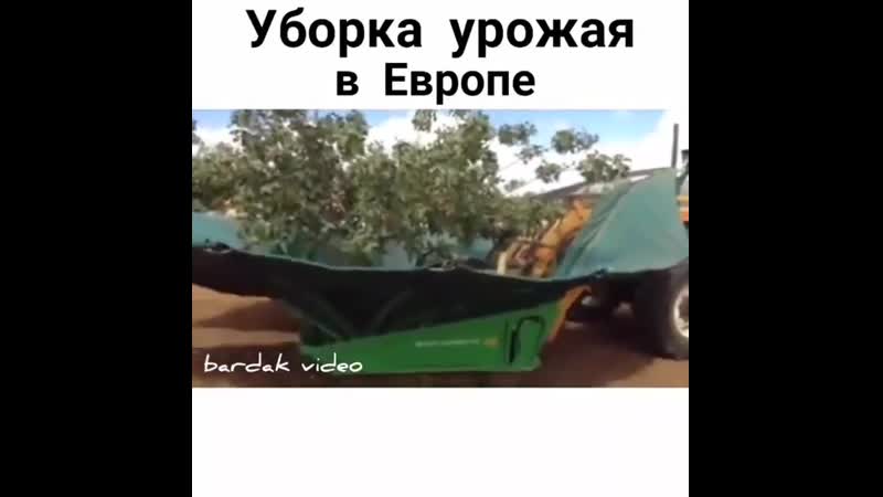 Сбор урожая 21 век