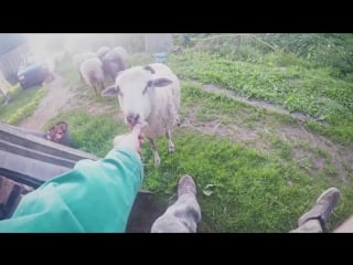 Русская деревня и gopro