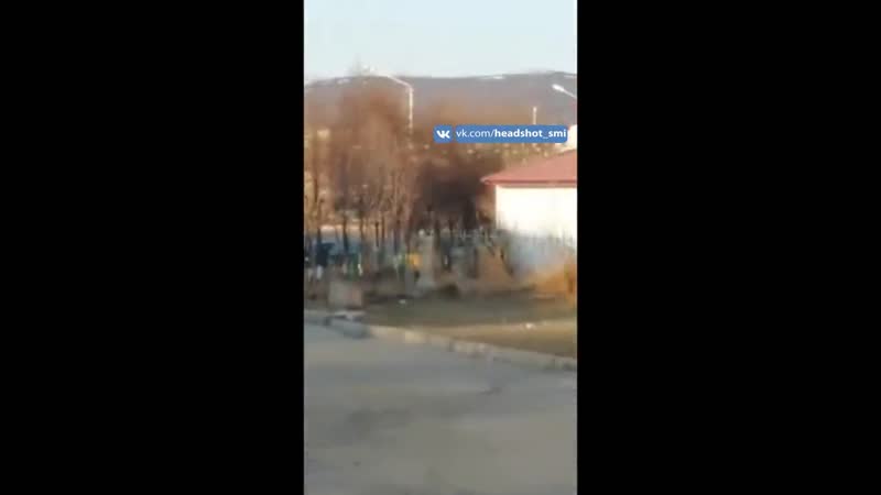 В магадане пара занялась сексом