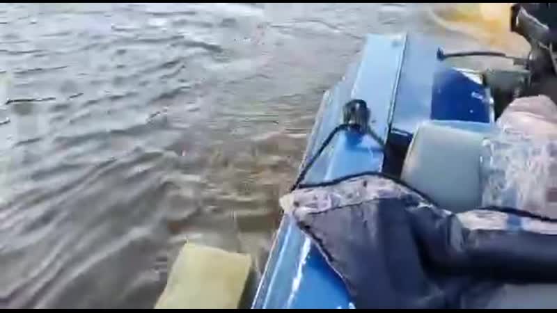 Приплыли на рыбалку