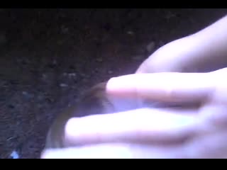 Жена блондинка тусит с большим черным членом порно лезби blowjob