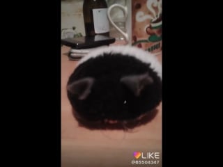 Ксюша гусарова