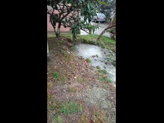 Vid 20200129 100122 mp4