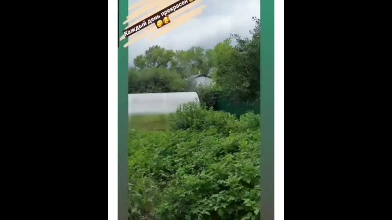 Корейка на мангале🥩