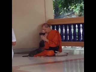 Блэт видосы