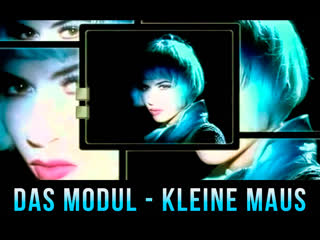Das modul kleine maus