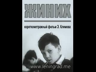 Жиних (1960) вгик