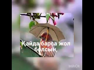 Video by karagoz sagalova