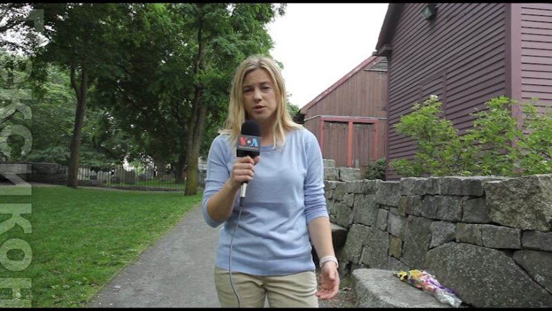 Лексикон американской политики охота на ведьм