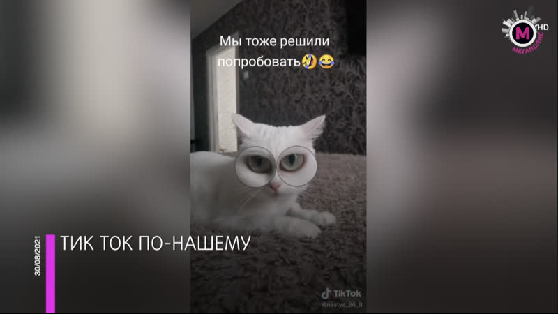 Мегаполис нижневартовский тик ток нижневартовск