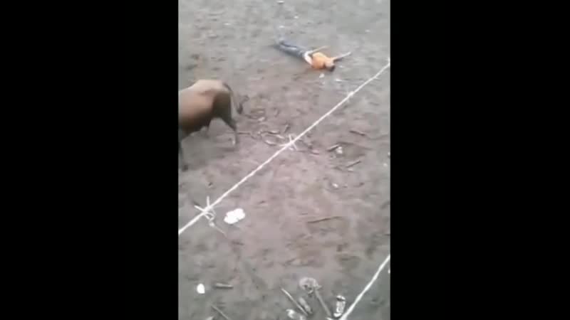 Насквозь проткнул мужика