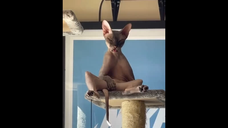 На расслабоне)