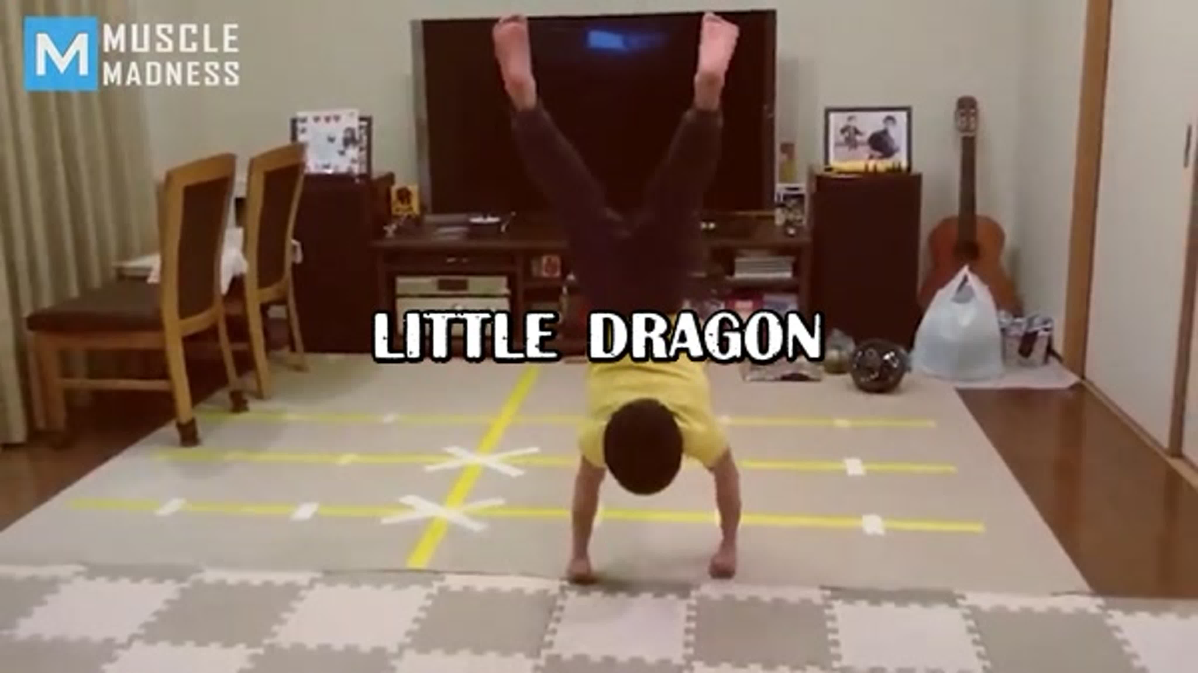 Little dragon