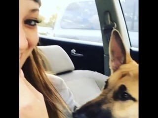 Remy lacroix кушает картошку фри сидя в машине со своей собакой