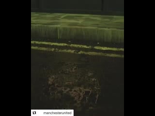 Video if you rose from the street mulive [mu] mp4