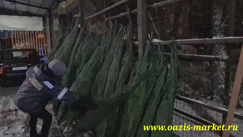 Открыт ёлочный базар! 1080p mp4