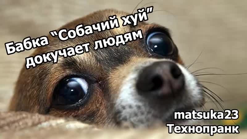 [matsuka23] пранк "бабка "собачий хуй" докучает людям"
