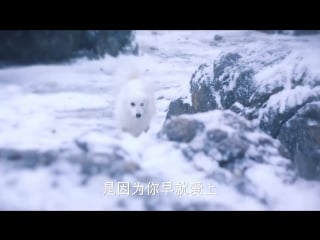 幻城 馬天宇 櫻空釋 剪輯 36 tianyu cut