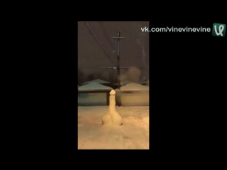 Х ёвый салют #fail #lol #video #funny #funnyvideo