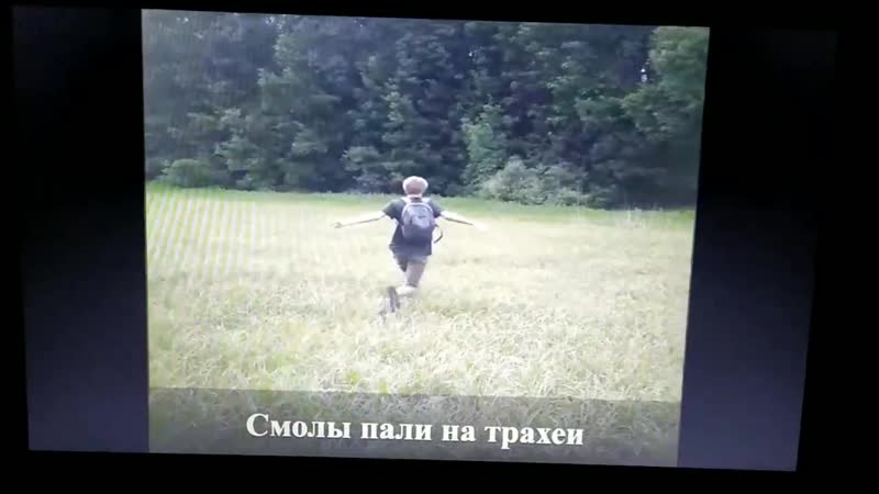 Слив 18+ порно (молодые, эротика, вирт, метробумин ма нига, о май гад рони, алёна)