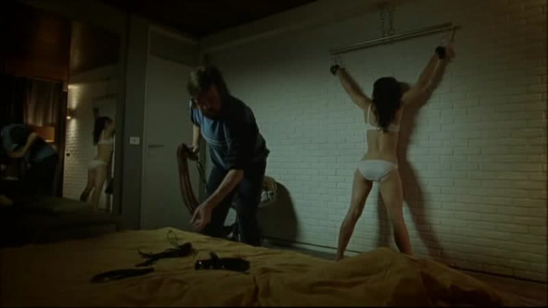 Про бдсм sm rechter(право на садо мазо) 2009 год, верле доббеларе