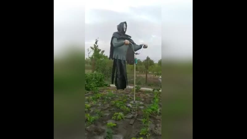 Попросила мужа сделать пугало на огород, сосед по даче закодировался 😁😀