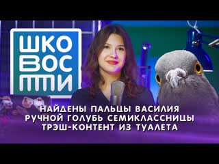 Найдены пальцы василия, ручной голубь семиклассницы, трэш контент из туалета