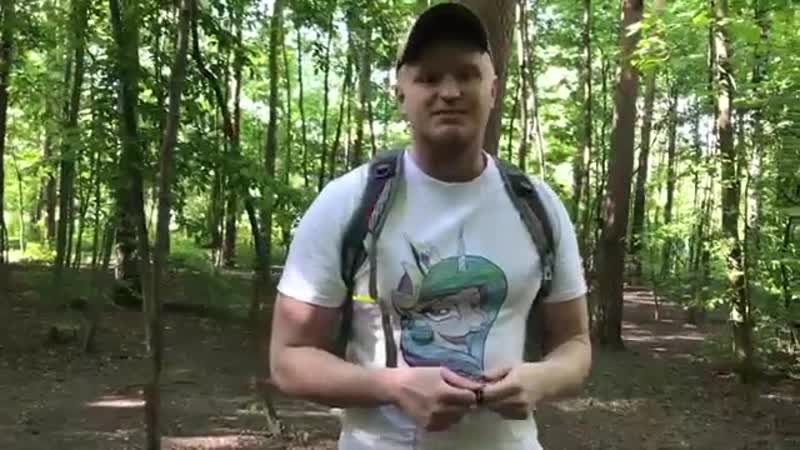 Сдохни или умри с содом (как ловить голубей для жрат)