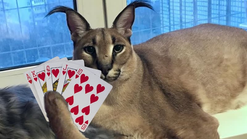 Шок!!! анбоксинг снюса, крутыхbru}{еры225 закупились порно карточками и рады [evangelion snus unboxing, episode 3]