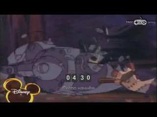 Chip 'n dale rescue rangers рубрика 8 бит dendy