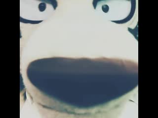 Legoshi does "rawr x3"