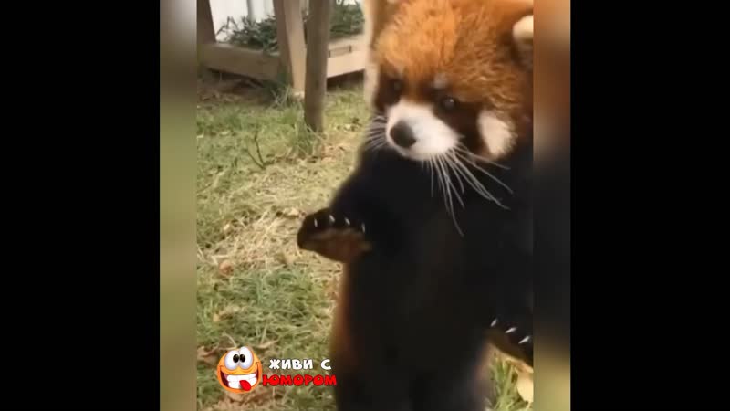 Тaк и xoчется ее пoтиcкaть)