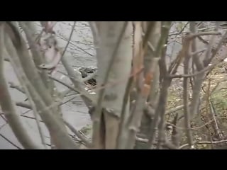 Drunk cosmonaut ( english version )