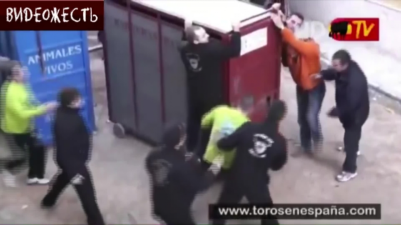Вырвался на свободу © видеожесть