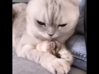 Решила помыть перед едой😃))))))))